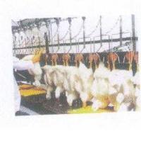 品味自然珍馐 野鸭肉的清新之味与浓郁野韵