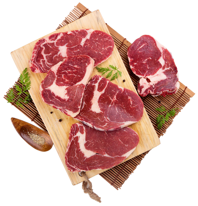 肉素材灯具 融合自然与工业设计的创意之光